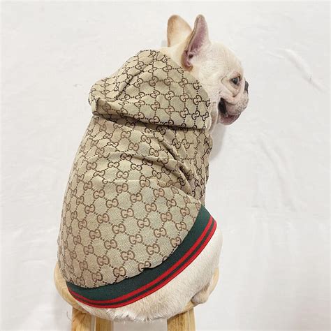 gucci rain coat for dogs|authentic designer dog collars.